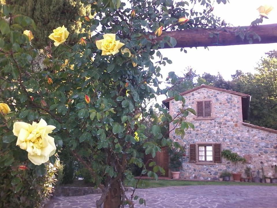 Casa Della Madonna Panzió Montaione Kültér fotó